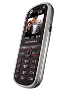 Best available price of Motorola WX288 in Saintvincent